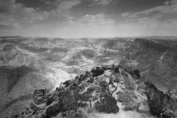 The Grand Canyon, AZ